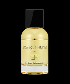 Mécanique intuitive