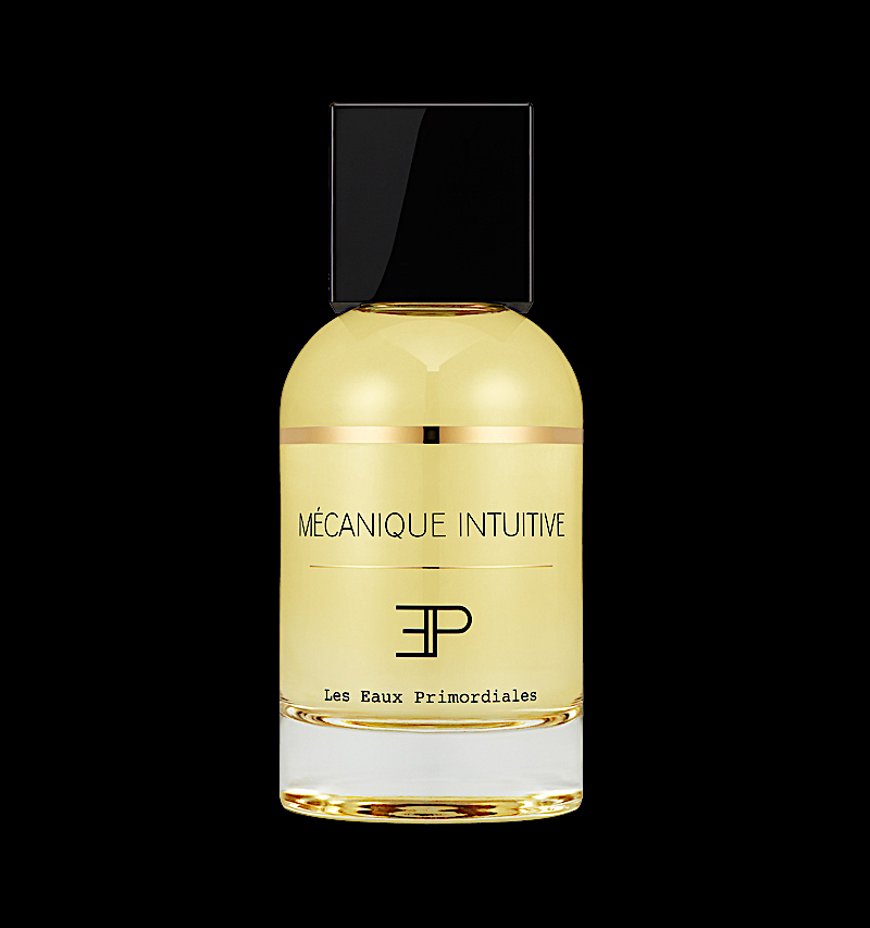 Mécanique intuitive