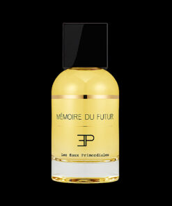 Mémoire du futur