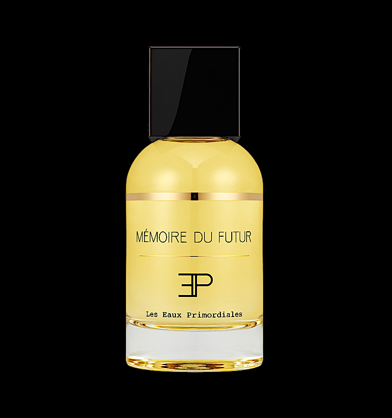 Mémoire du futur