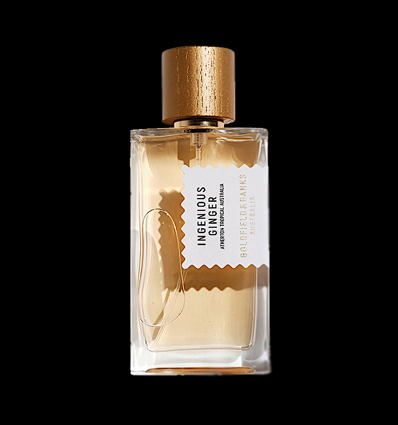 Ingenious Ginger